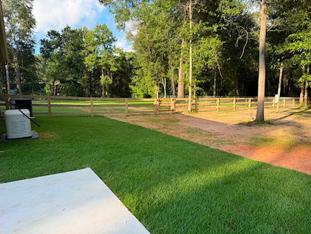 The Connection Between Lawn Care and Pest Control