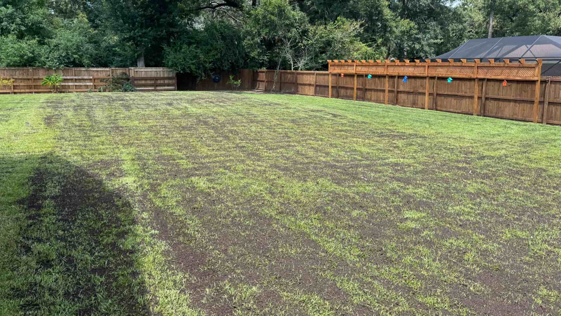 Compost top dressing banner