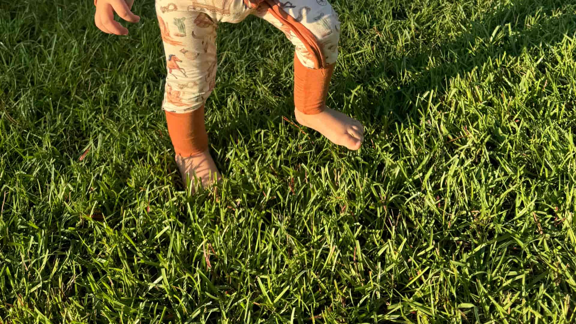 Fire ant control banner