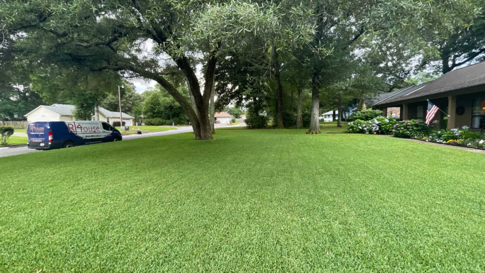 Lawn fungus treatment banner