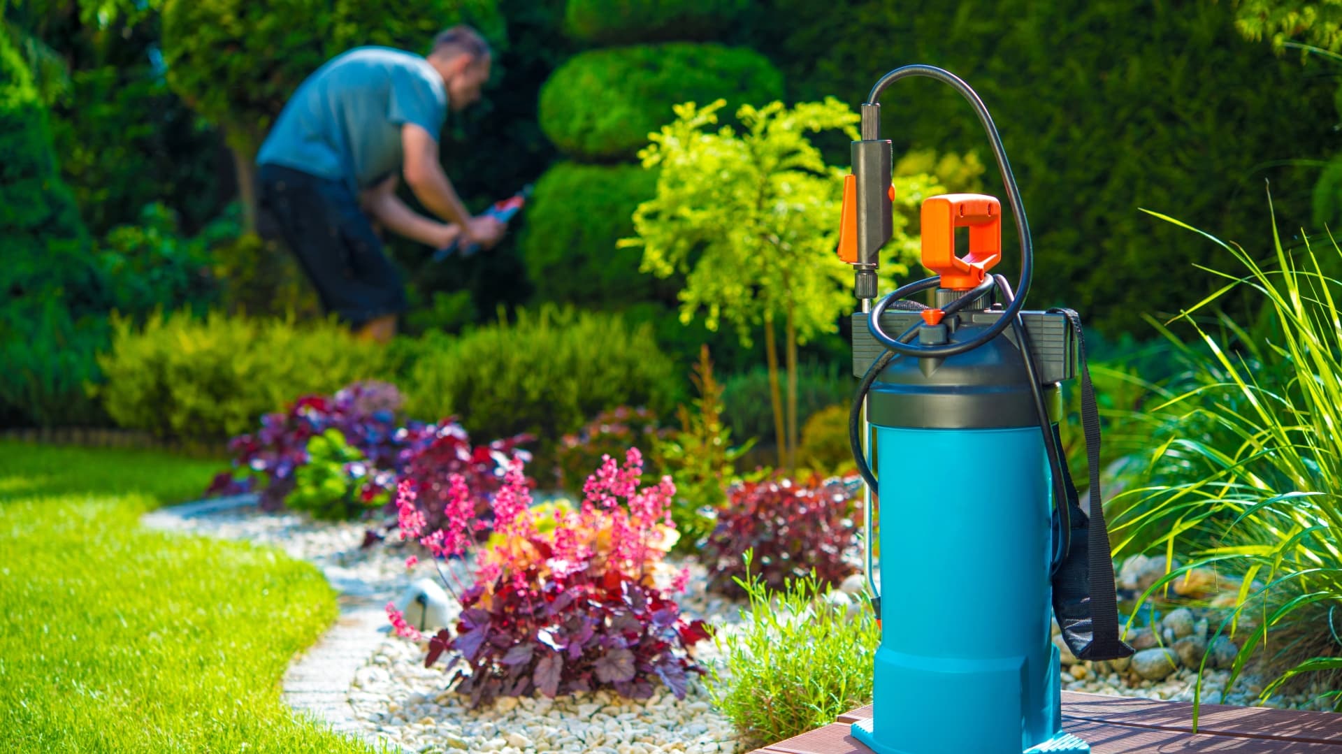 R House Banner Background