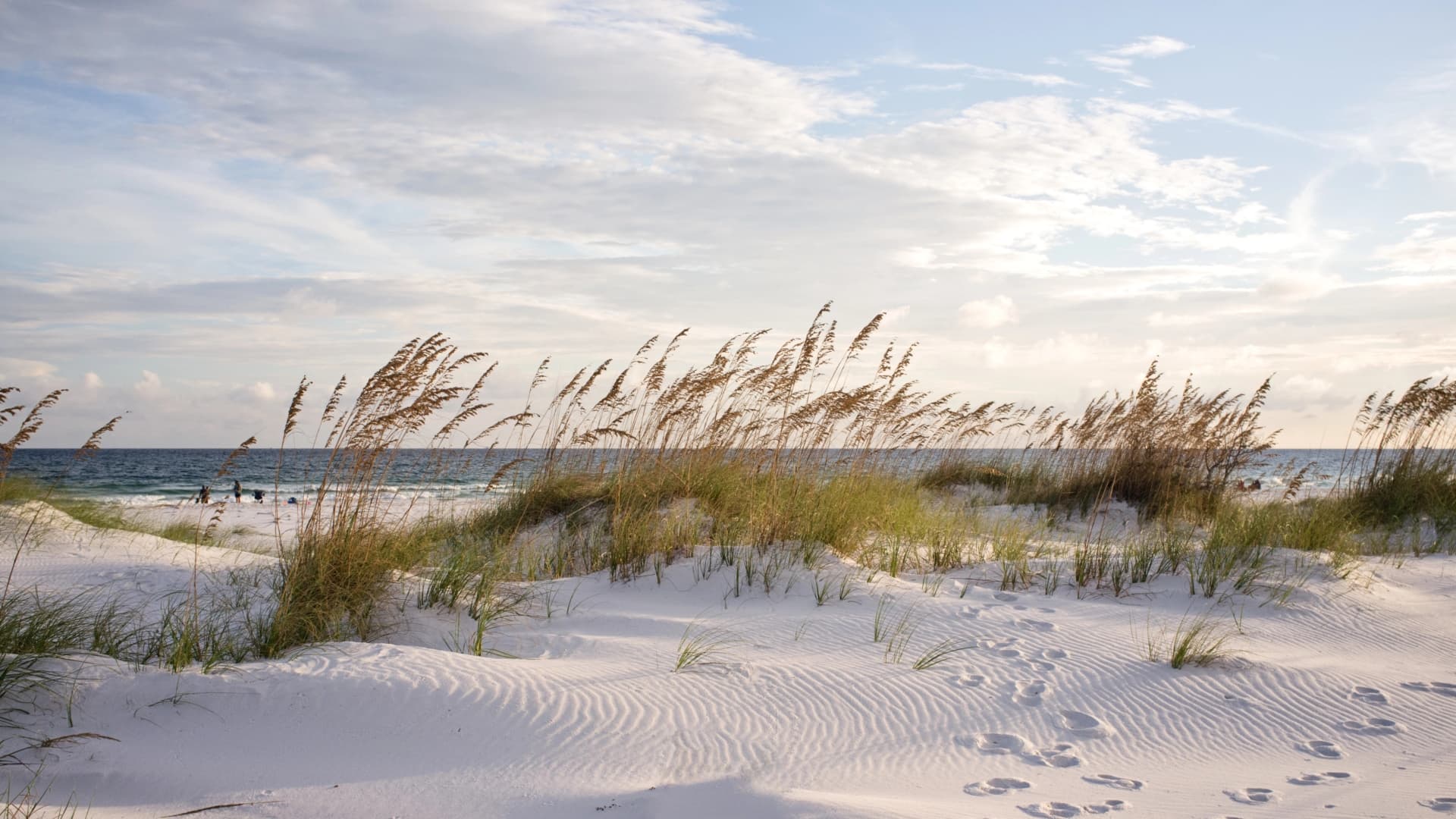 Service areas banner